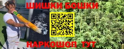 стафф Ставрополь