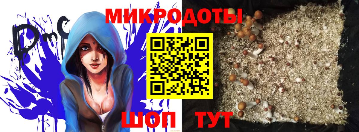 Псилоцибиновые грибы ЛСД Нижний Новгород