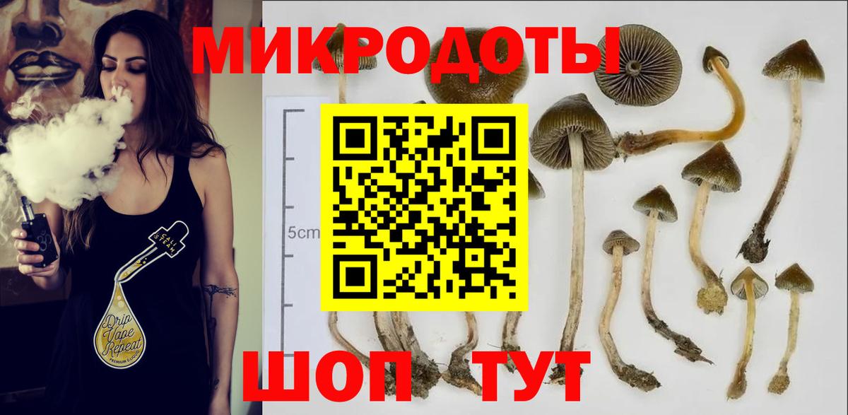 Галлюциногенные грибы MAGIC MUSHROOMS  Вход с VPN  Галлюциногенные грибы ЛСД  Нижний Новгород 